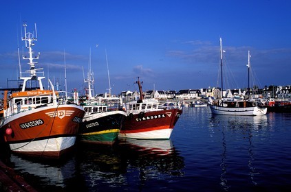 France, Finistère (29), chalutiers dans le port de Guilvinec