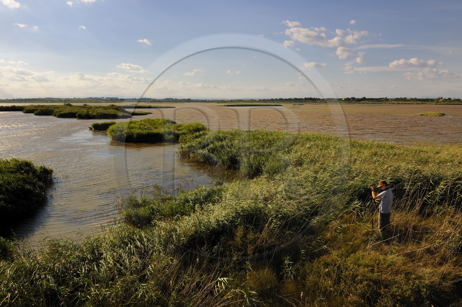 France, Hérault (34), région du Cap d'Agde, la Réserve Naturelle Nationale du Bagnas à l’ouest de l’étang de Thau