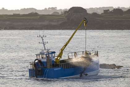France, Finistère (29), Pays des Abers, Ile Vierge dans l'archipel de Lilia, bateau goémonier utilisant un de ses deux bras mécaniques articulés se terminant par un scoubidou pour récolter des algues marines le goémon