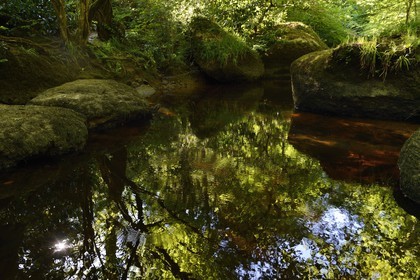 France, Finistere, Parc Naturel Regional d'Armorique (Armorique Natural Regional Park), Huelgoat, granitic chaos of the Huelgoat forest, the forest reflected in the water of the Argent River, which sometimes may become blood red