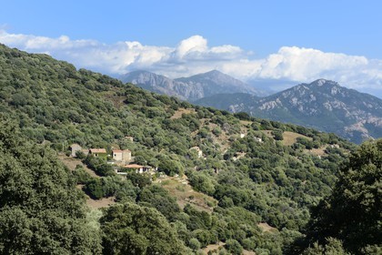 France, Corse-du-Sud (2A), région de Cargèse, Paomia, lieu de la première implantation de la colonie grec avant Cargèse