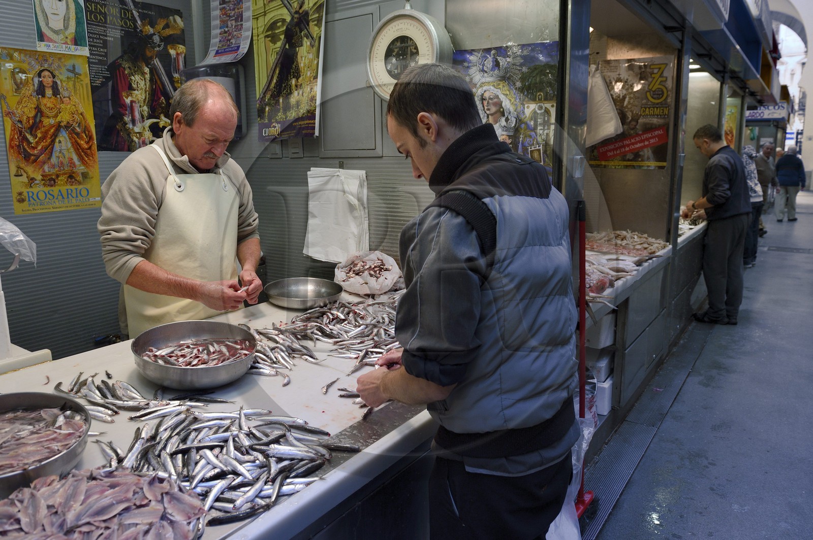 Espagne, Andalousie, Malaga, Mercado Central de Atarazanas, le marché aux poissons dans le marché central