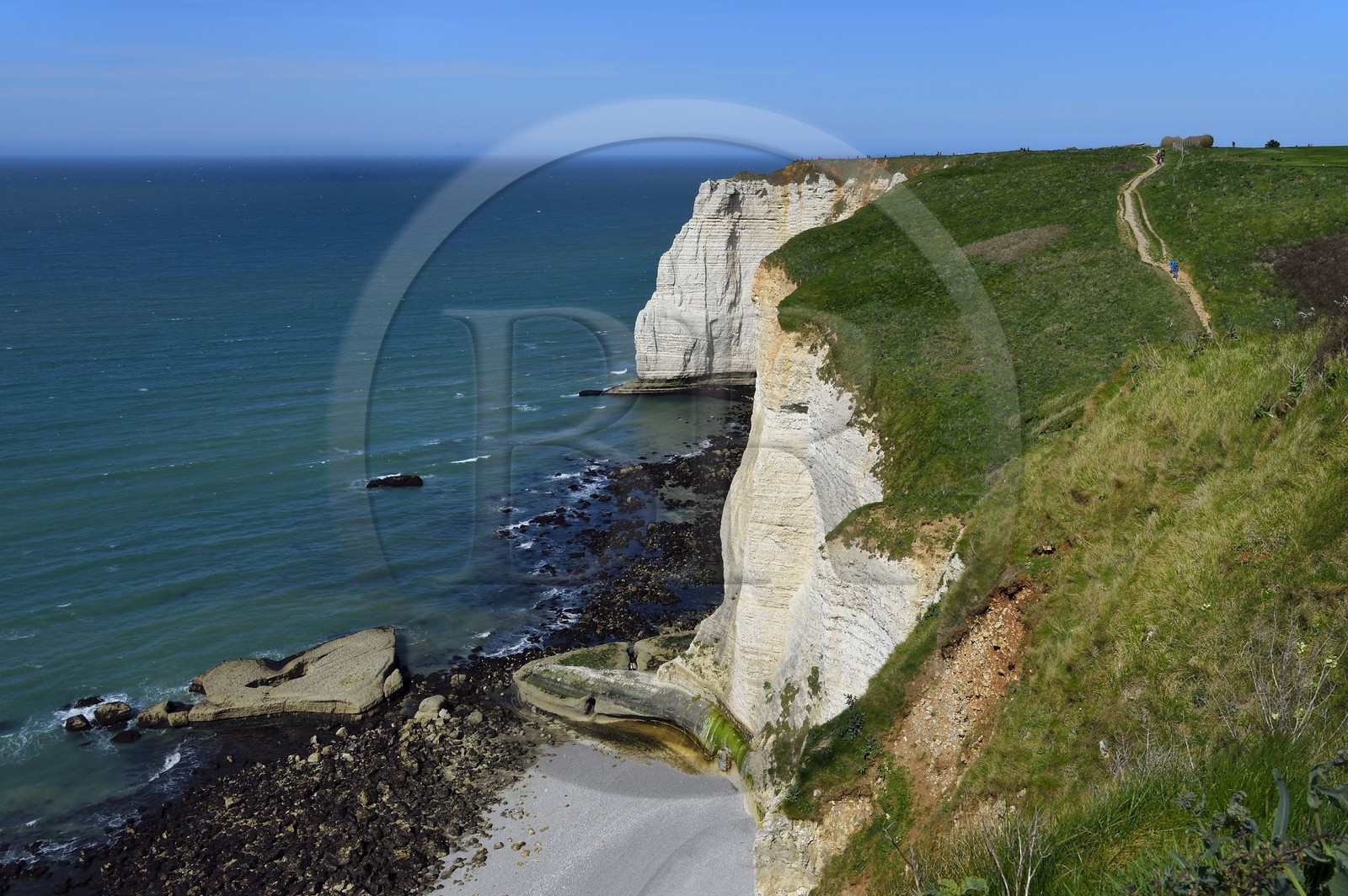 France, Seine-Maritime (76), Pays de Caux, Côte d'Albâtre, Etretat, la falaise d'Aval que longe le GR21