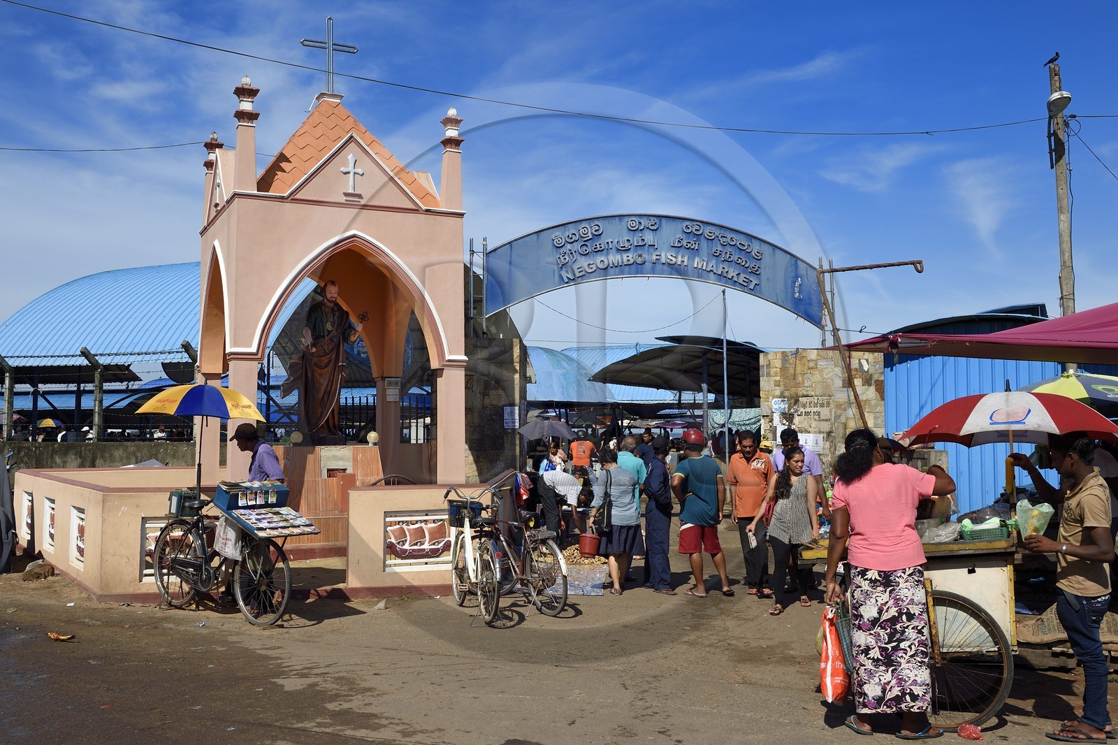 Sri Lanka, Province de l'Ouest, Negombo, le marché aux poissons