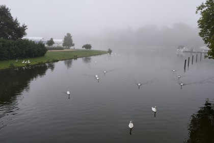 France, Moselle (57), Metz, le jardin des Régates bordé par la Moselle