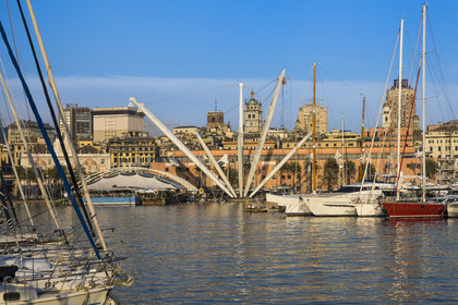 Italie, Ligurie, Gênes, le Porto Antico (Vieux Port) et l'ascenseur panoramique Bigo réalisé par Renzo Piano