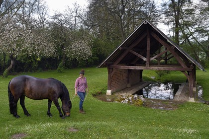 France, Yvelines (78), Montchauvet, le lavoir du XIXème siècle en contrebas du village, Claire Pilo