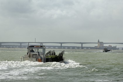 France, Charente-Maritime (17), le bassin Marrennes-Oléron au large du pont viaduc d'Oléron et du Fort Louvois (Fort du Chapus), chaland à huîtres