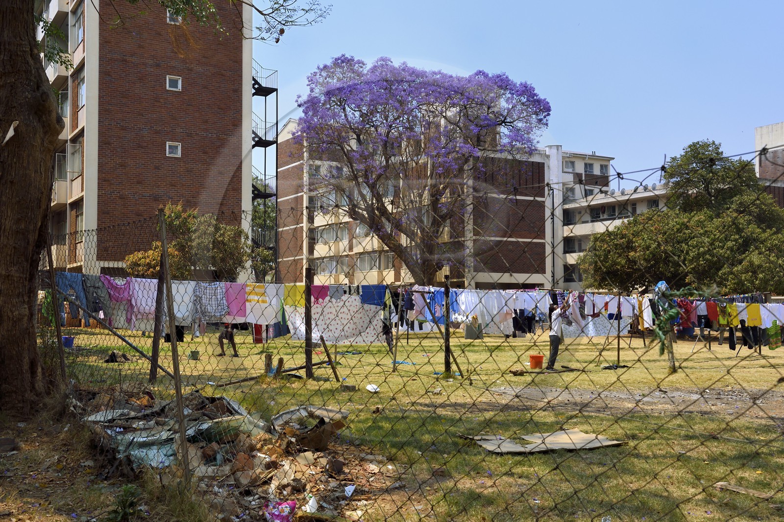 Zimbabwe, Harare, housing project on Simon Muzenda street