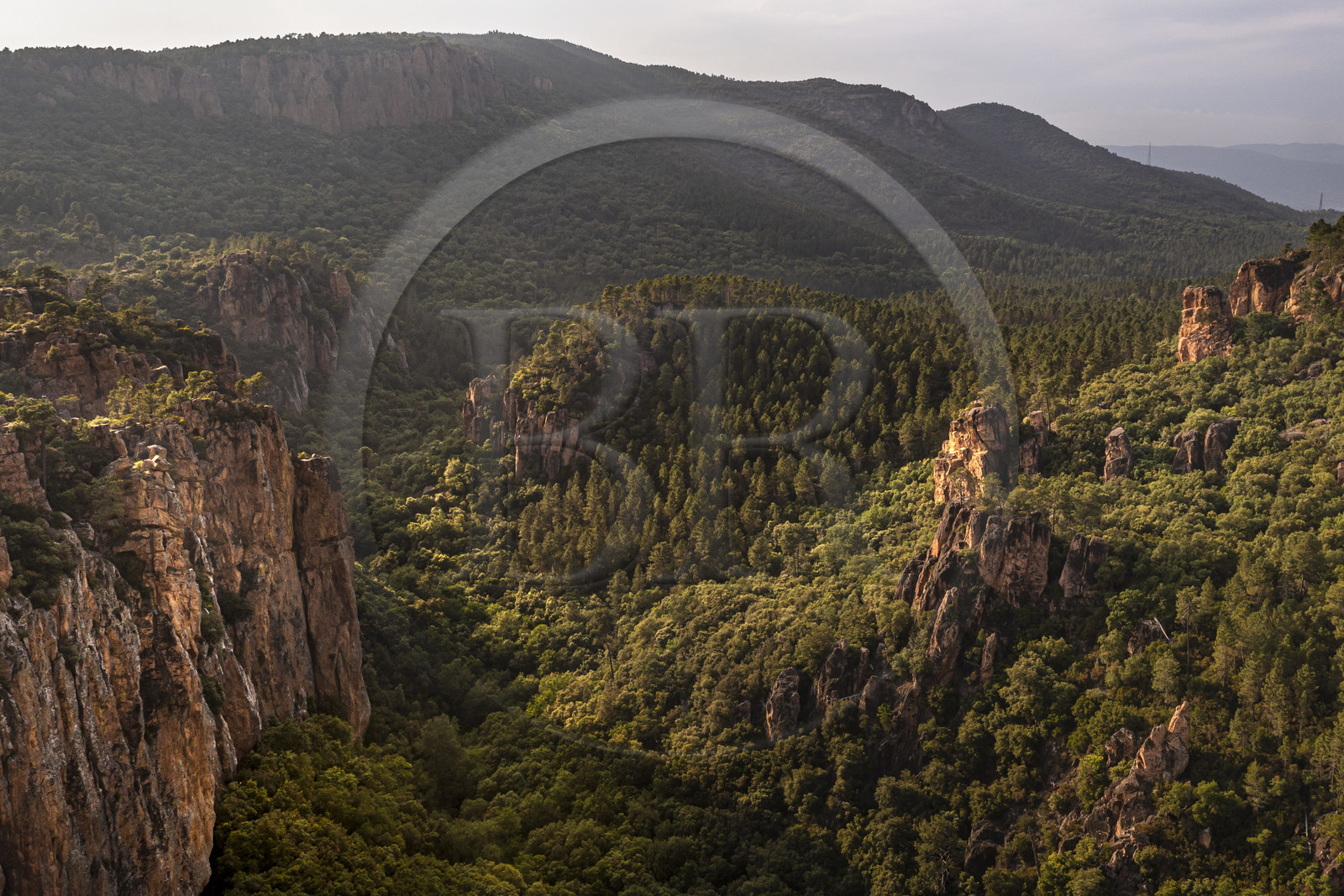 France, Var, between Bagnols en Foret and Roquebrune sur Argens, the Gorges du Blavet (aerial view)