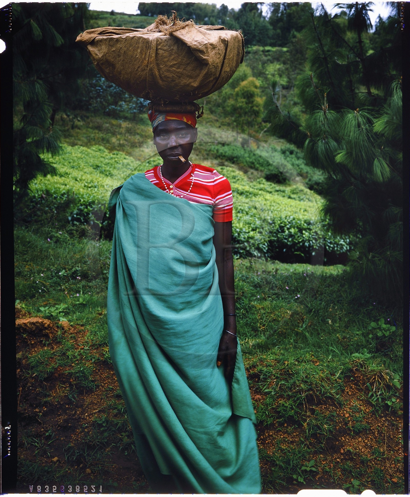 Burundi, province de Bujumbura, région d'Ijenda, femme Tutsi se rendant au marché, les femmes portent les charges sur la tête comme dans la plupart des pays africains (reproduction plan-film inversible 4x5)
