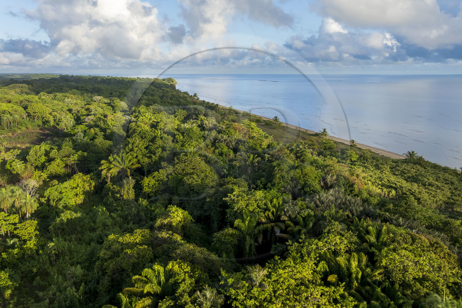 France, Guyane, Kourou, zones humides, forêts et savanes protégées dans l'enceinte du centre spatial et gérées par l'Office National des Forêts (ONF), elle est bordée au Nord-Est par la plage de Kourou (vue aérienne)