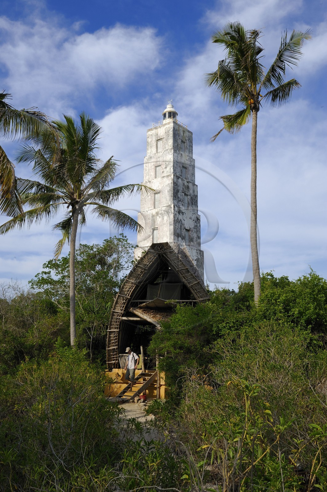 Tanzanie, archipel de Zanzibar, île de Unguja (Zanzibar), côte ouest, Eco-bungalows de la réserve naturelle de Chumbe Island Coral Park