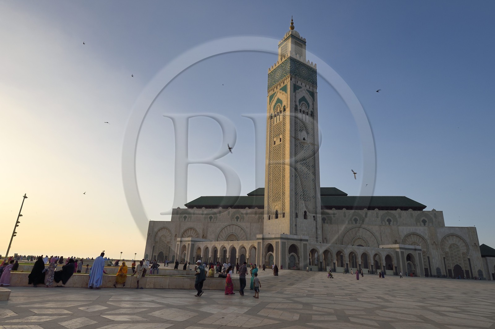 Maroc, Casablanca, Grande Mosquée Hassan II