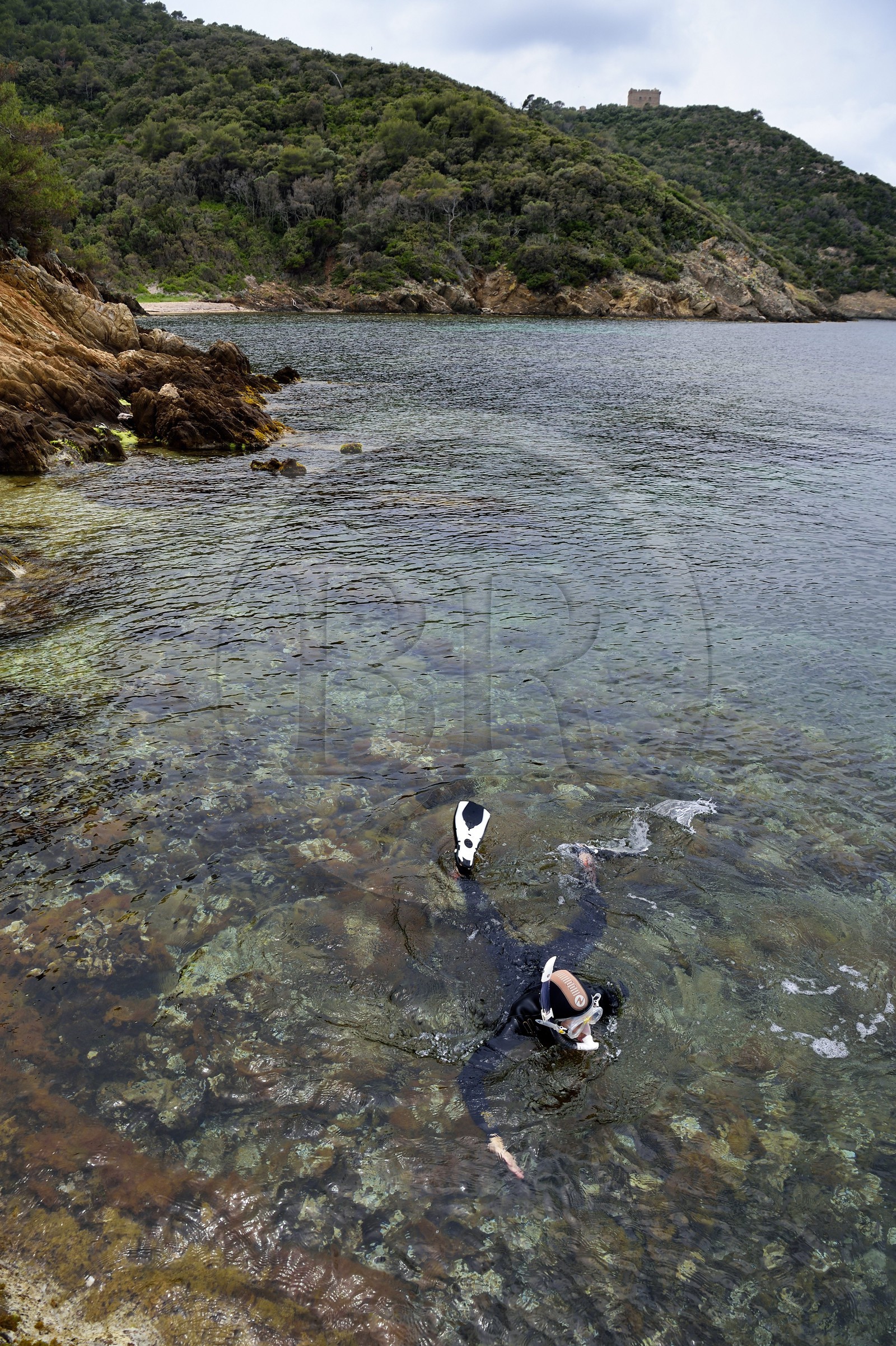 France, Var (83), Iles d'Hyères, Parc national de Port Cros, Ile de Port-Cros, plage de la Palud, le rocher du Rascas, sentier sous marin de la Palud