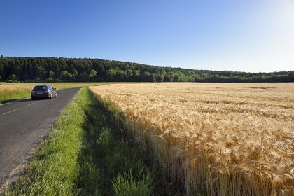 France, Meuse, Vaux-Devant-Damloup, former battlefield of Verdun, barley field