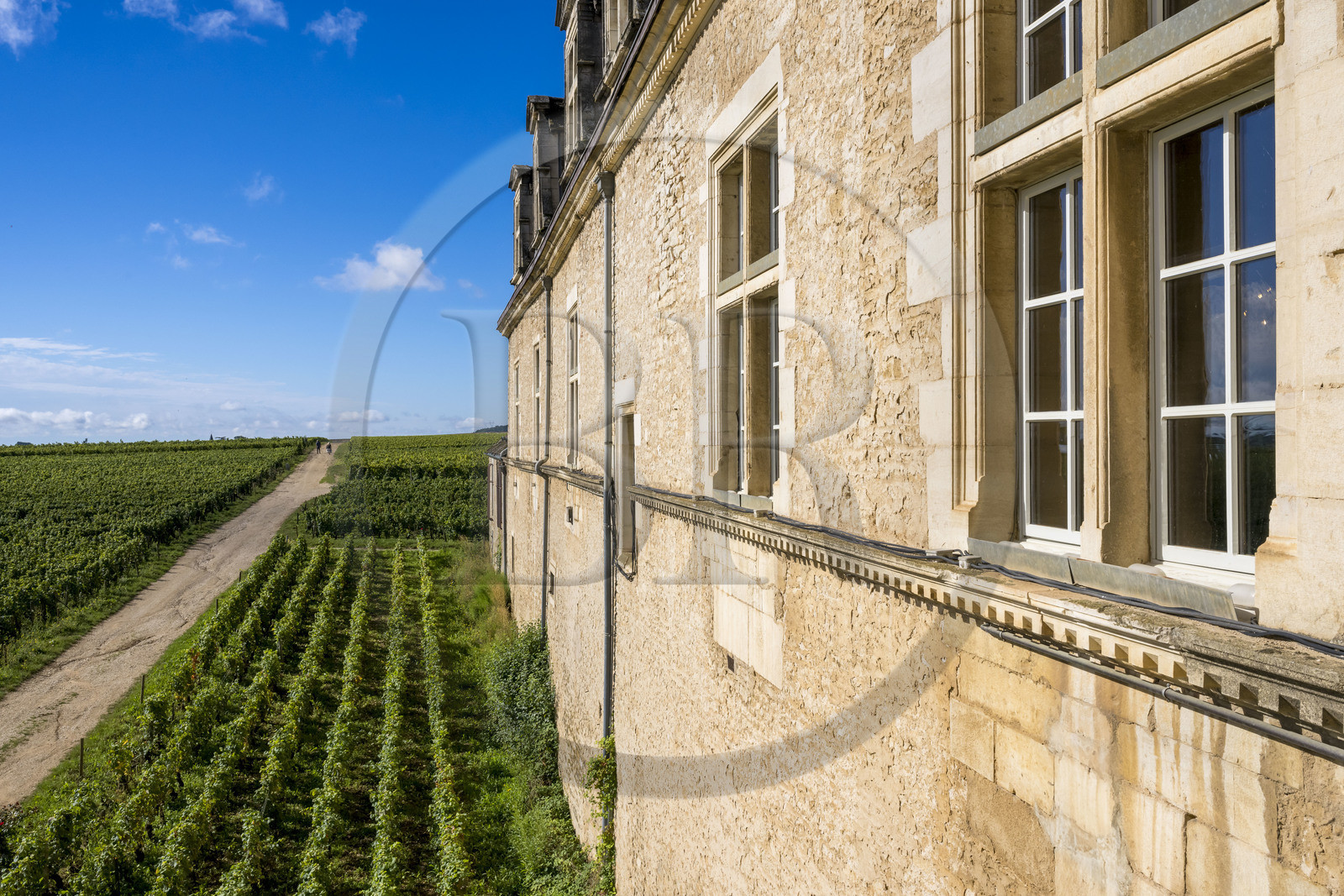 France, Côte-d'Or (21), Paysage culturel des climats de Bourgogne classés Patrimoine Mondial de l'UNESCO, Route des Grands Crus, vignoble de la Côte de Nuits, Vougeot, le Chateau du Clos de Vougeot