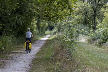 France, Charente Maritime, Saint Agnan, cyclist on the cycle route in the Bois du Chay towards Trizay Abbey