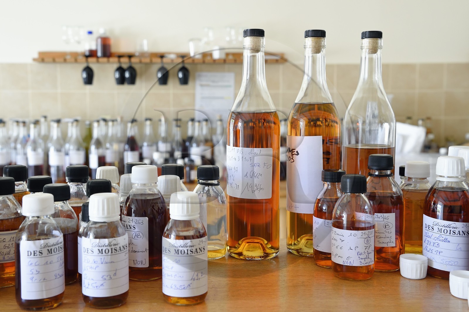 France, Charente, Sireuil, Distillerie des Moisans, bottles for preparing the blend in the cellar master's laboratory