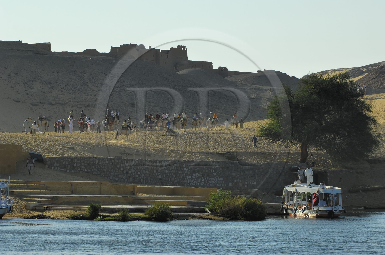 Egypte, Haute Egypte, Nubie, vallée du Nil, Assouan, touristes sur des dromadaires rejoignant le monastére Saint-Siméon sur la rive gauche du Nil