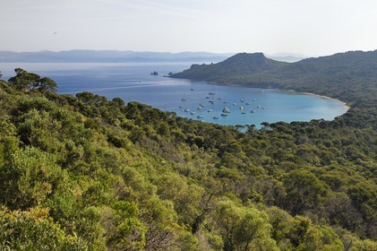 France, Var (83), Iles d'Hyères, parc national de Port Cros, Ile de Porquerolles, la Baie de l'Alycastre et le Cap des Mèdes en arrière-plan