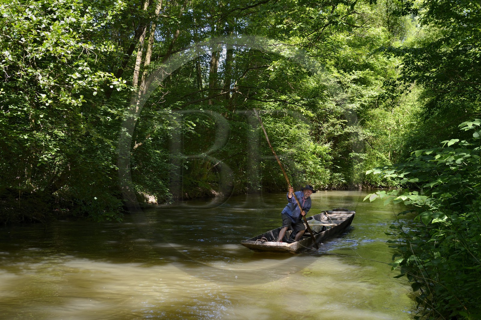 France, Bas-Rhin (67), région d'Ebersmunster et Muttersholtz, le Grand Ried, le batelier Patrick Unterstock dans une barque à fond plat en bois sur la rivière l'Ill
