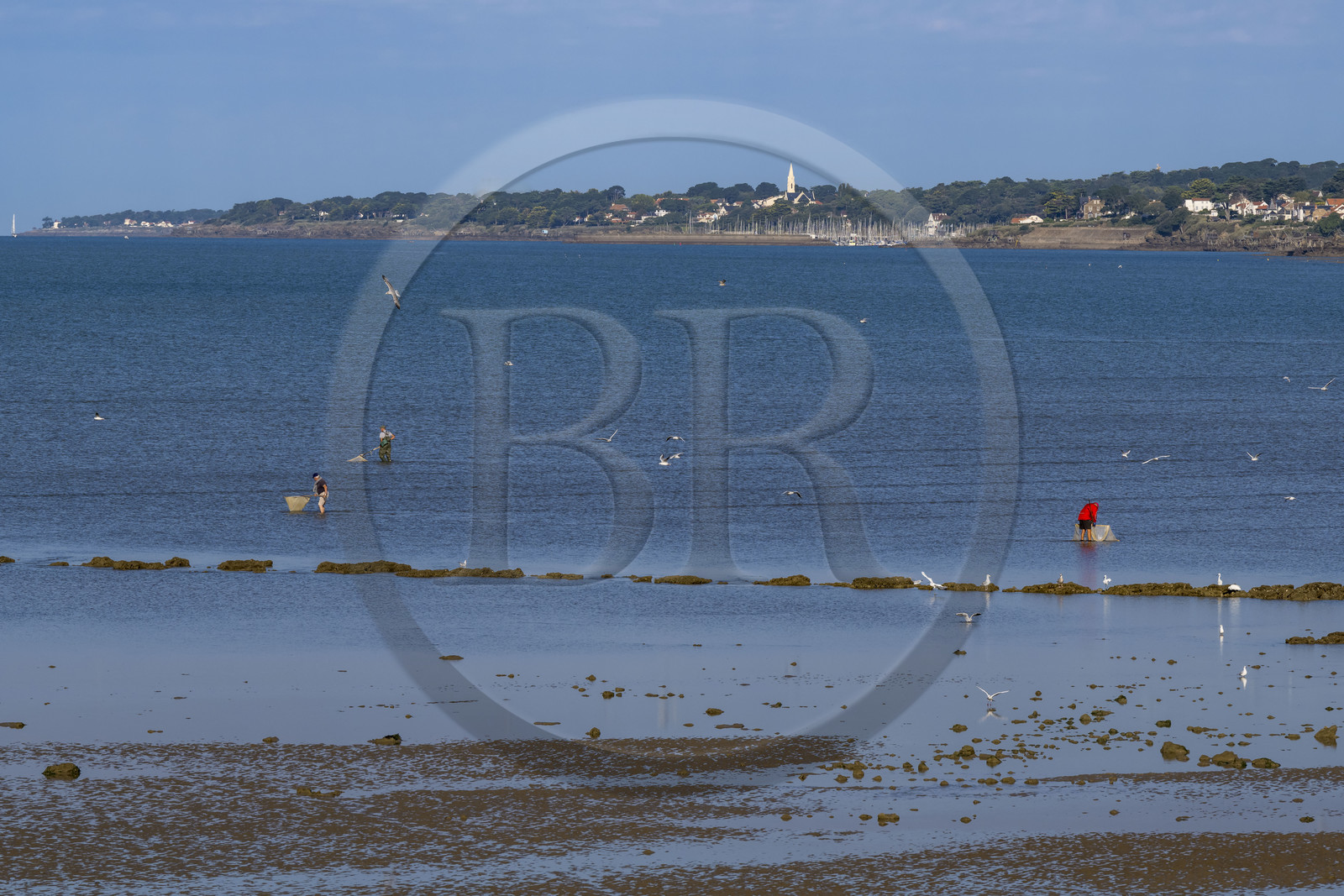 France, Loire-Atlantique (44), Baie de Bourgneuf, Pornic, plage de Crêve-coeur à La Bernerie-en-Retz, pecheurs à pied de crevettes à l'épuisette