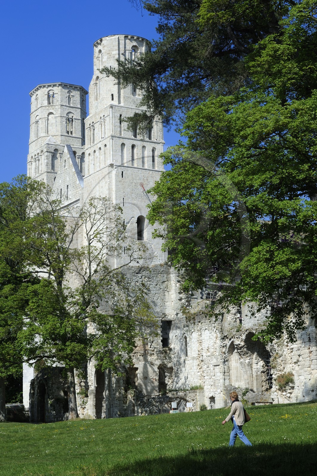 France, Seine-Maritime (76), Pays de Caux, Jumièges, abbaye Saint-Pierre de Jumièges fondée au VIIe siècle