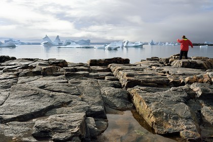 Groenland, cote ouest, Ile de Disko, baie du village de Qeqertarsuaq, randonneur sur les rochers et icebergs en arrière plan