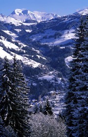 Switzerland, region of Bern (Bernese Oberland), Saanenland, mountain overlooking Gstaad