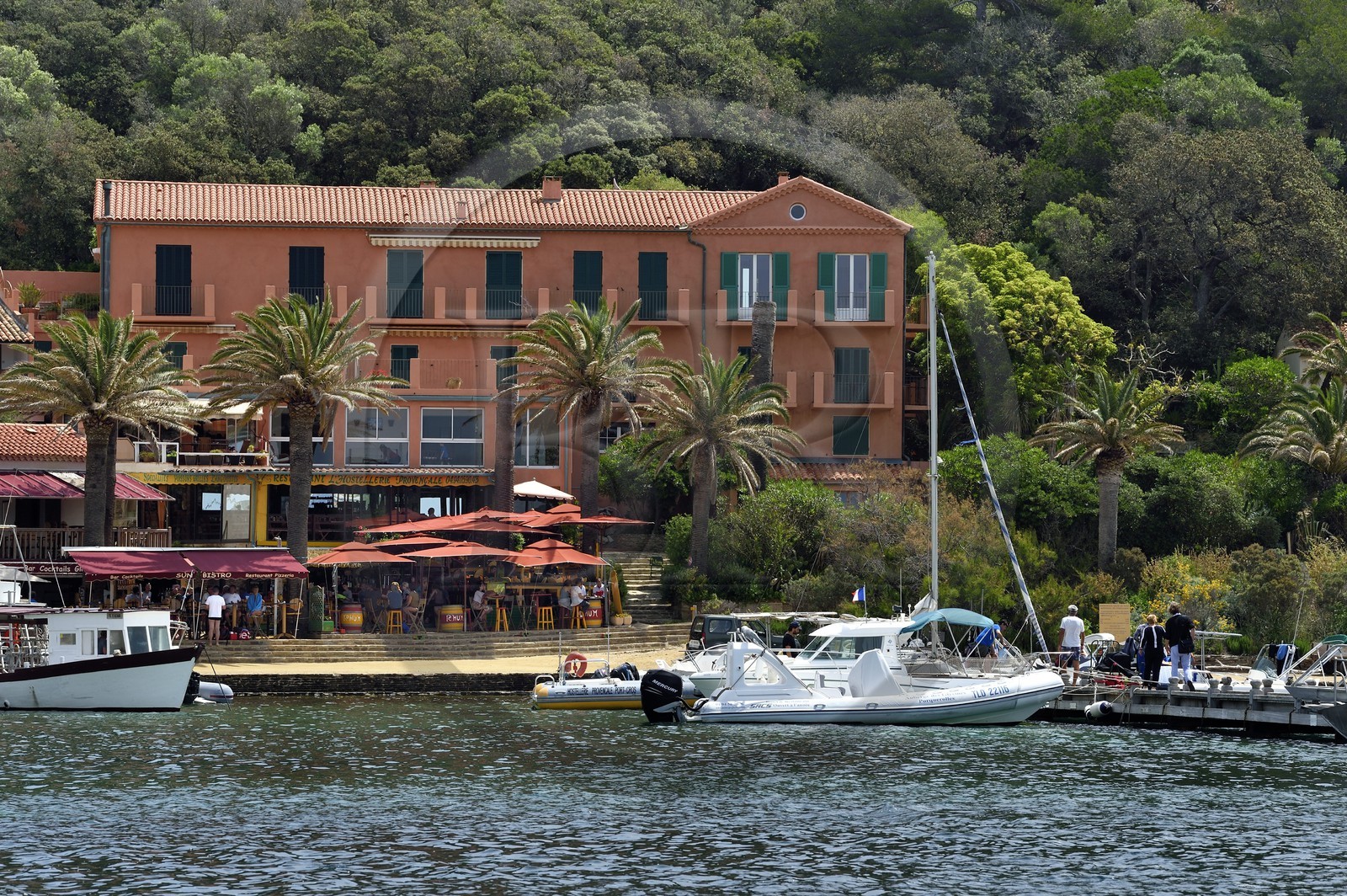 France, Var (83), Iles d'Hyères, parc national de Port Cros, Ile de Port-Cros, le port et village