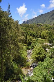 France, Ile de la Reunion, Cirque de Salazie, classé Patrimoine Mondial de l'UNESCO, Hell-Bourg, labellisé les Plus Beaux Villages de France, la rivière Bras-Sec à Ilet à Vidot