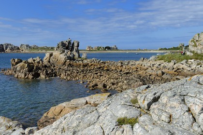 France, Côtes-d'Armor (22), Côte d'Ajoncs, Plougrescant, Anse de Pors Scaff