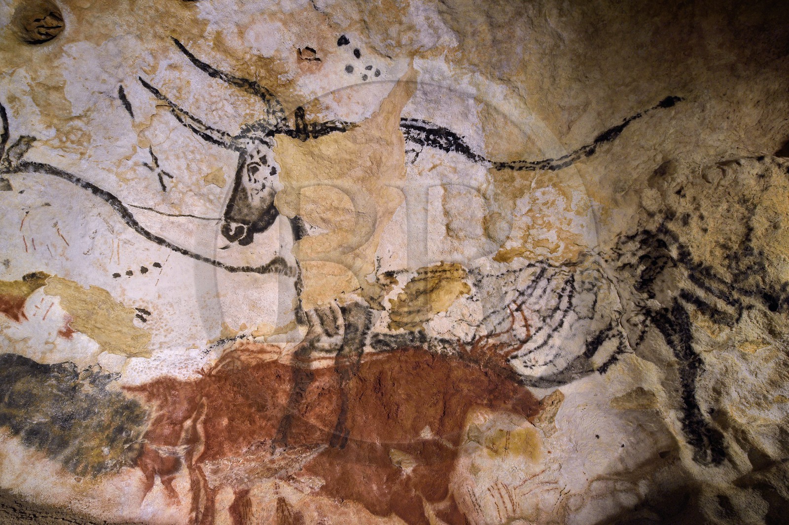 France, Dordogne (24), Périgord Noir, vallée de la Vezère, Montignac-sur-Vézère, Grotte de Lascaux II, reconstitution du site préhistorique et grotte ornée classés Patrimoine Mondial de l'UNESCO, Aurochs