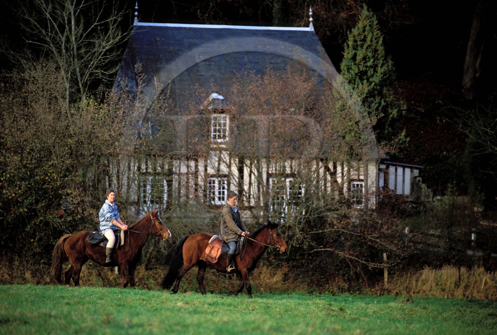 France, Eure (27), région de Brionne, promenade équestre dans la vallée de la rivière Risle