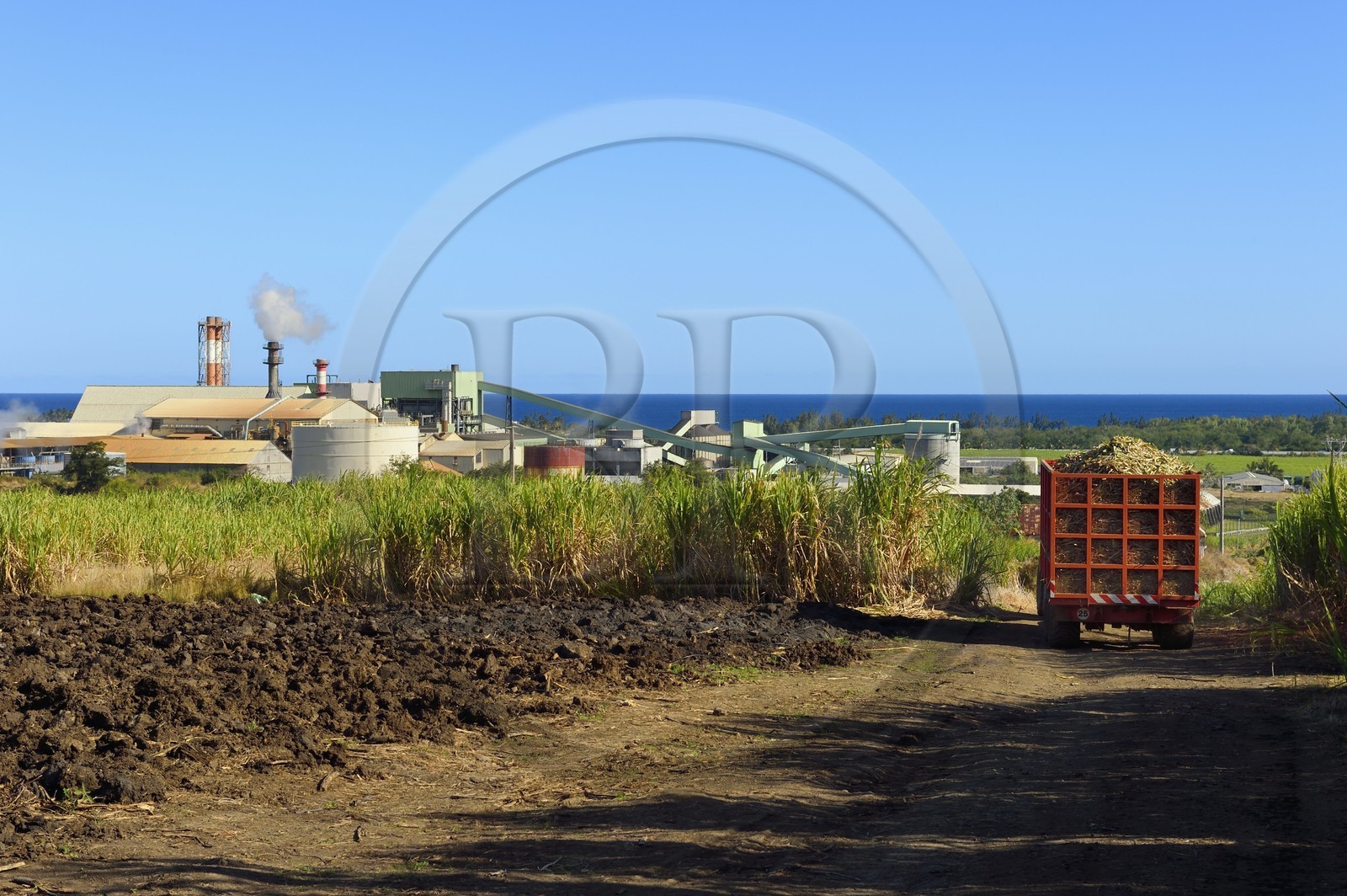 France, Ile de la Reunion, Saint-Louis, l'usine sucrière du Gol derrière les champs de canne à sucre