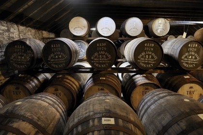 Royaume-Uni, Ecosse, Iles Orcades, Kirkwall, distillerie de whisky Highland Park, stockage pour faire vieillir le whisky