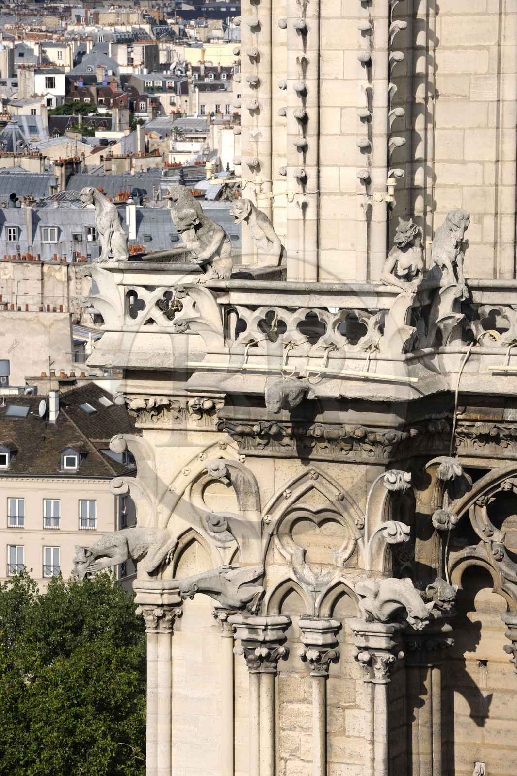 France, Paris (75), île de la Cité, la cathédrale Notre-Dame, les gargouilles et les chimères observent la ville