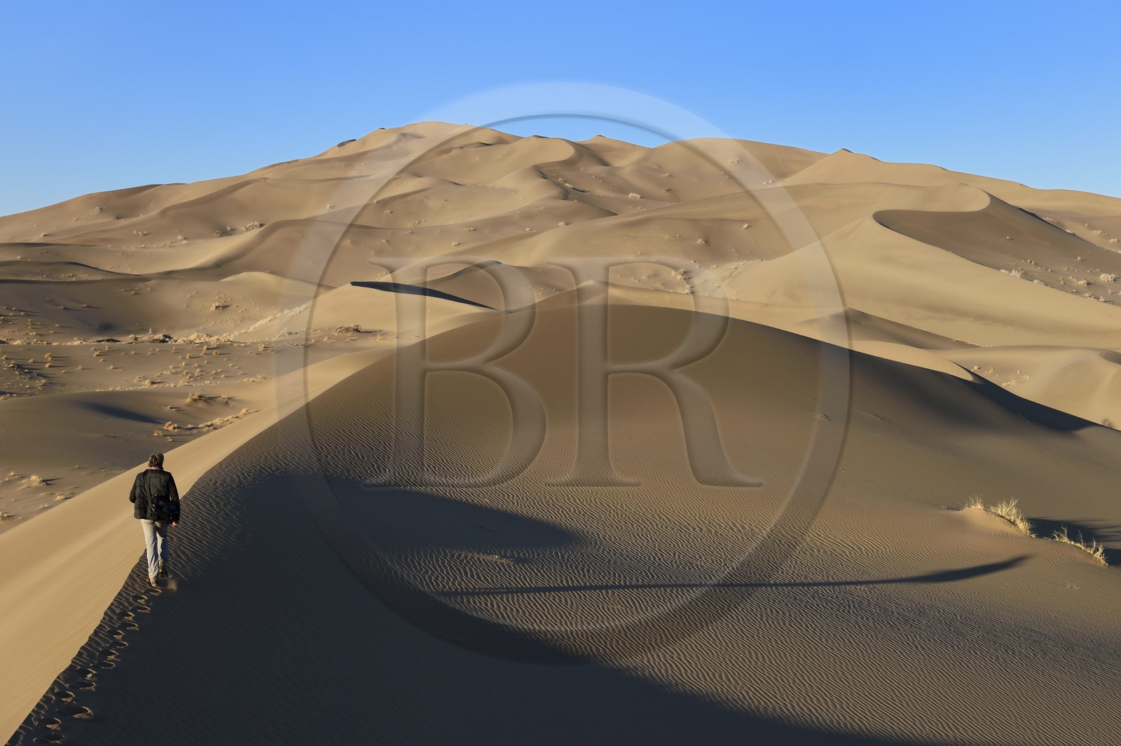 Iran, Province de Yazd, désert du Dasht-e Kavir, Moghestan, randonnée dans le massif dunaire dont la plus haute dune atteint les 200 mètres
