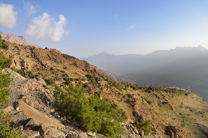 Sultanat d'Oman, Gouvernorat d'Al-Batina du Sud, Hajar occidental, Wadi Mistall, village de Wakan (Wukan), la vallée du Wadi Mistall en arrière plan