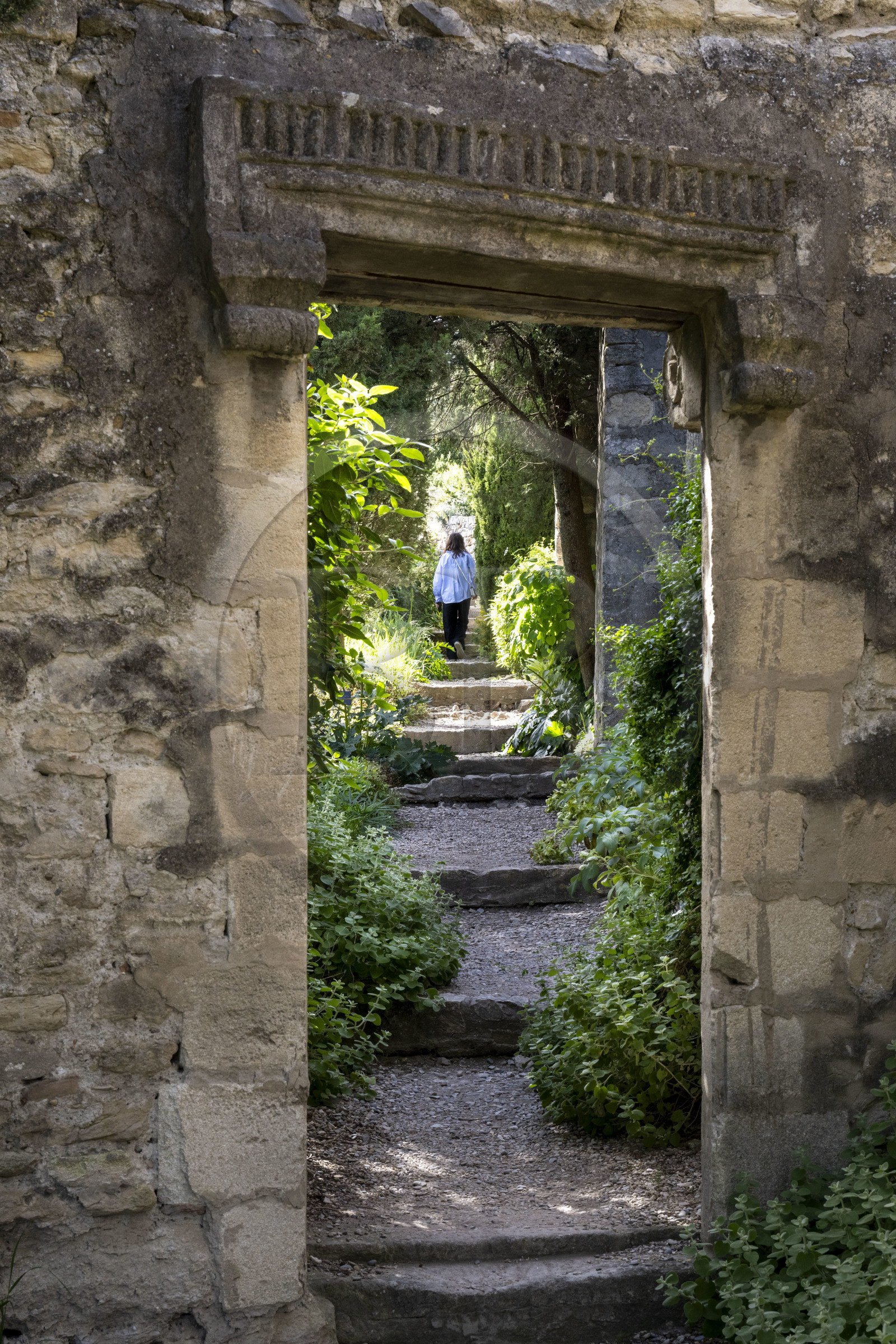 France, Gard, Villeneuve les Avignon, the gardens of the former Benedictine abbey of Saint André