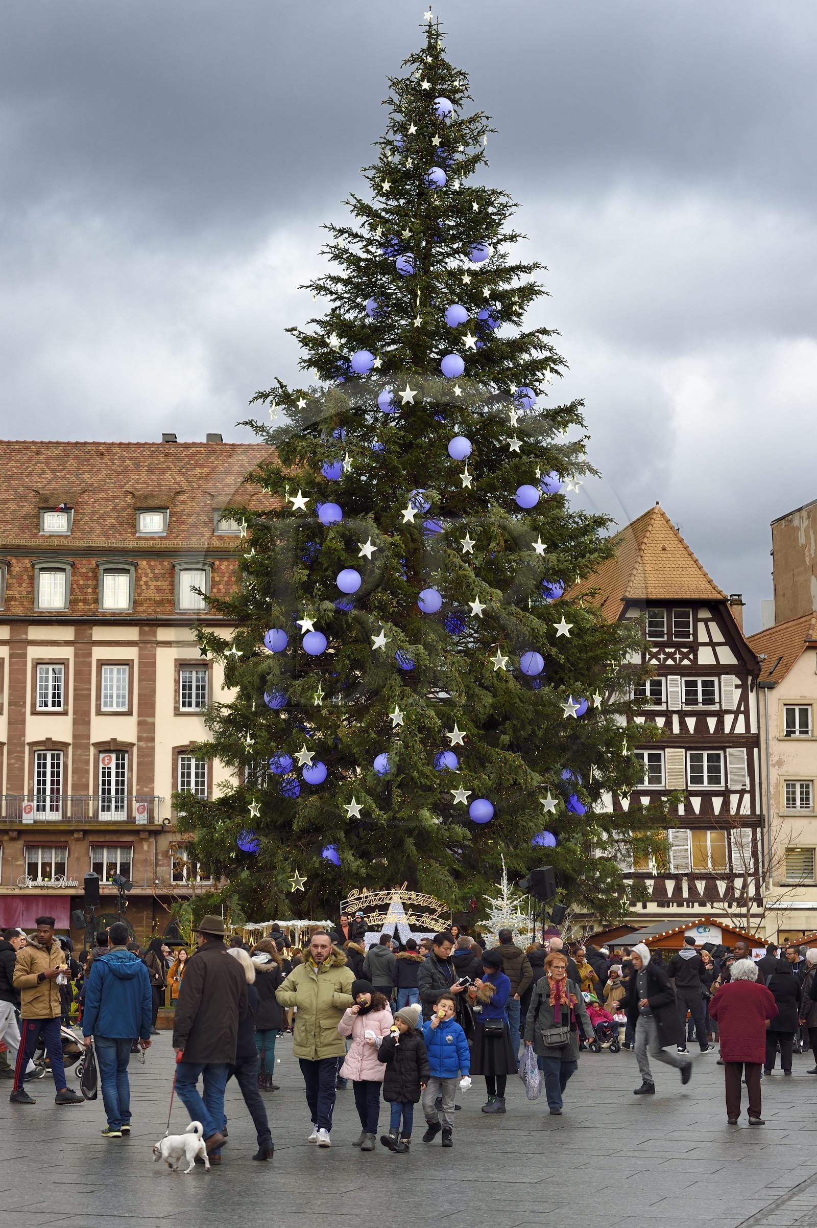France, Bas-Rhin (67), Strasbourg, vieille ville classée Patrimoine Mondial de l'UNESCO, le Grand Sapin de Noël de la place Kléber
