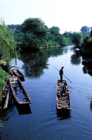 France, Bas Rhin, Ehnwihr, Bargeman of the Ried, P.Understock carrying a biker to Ebermünster