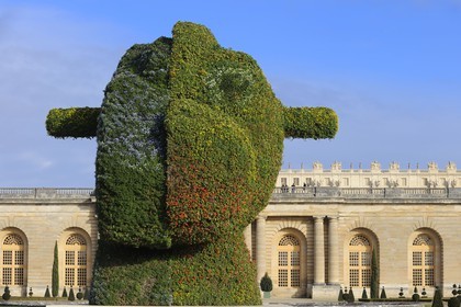 France, Yvelines (78), château de Versailles, classé Patrimoine Mondial de l'UNESCO, le parterre de l'Orangerie de Jules Hardouin-Mansart, le Split-Rocker de Jeff Koons
