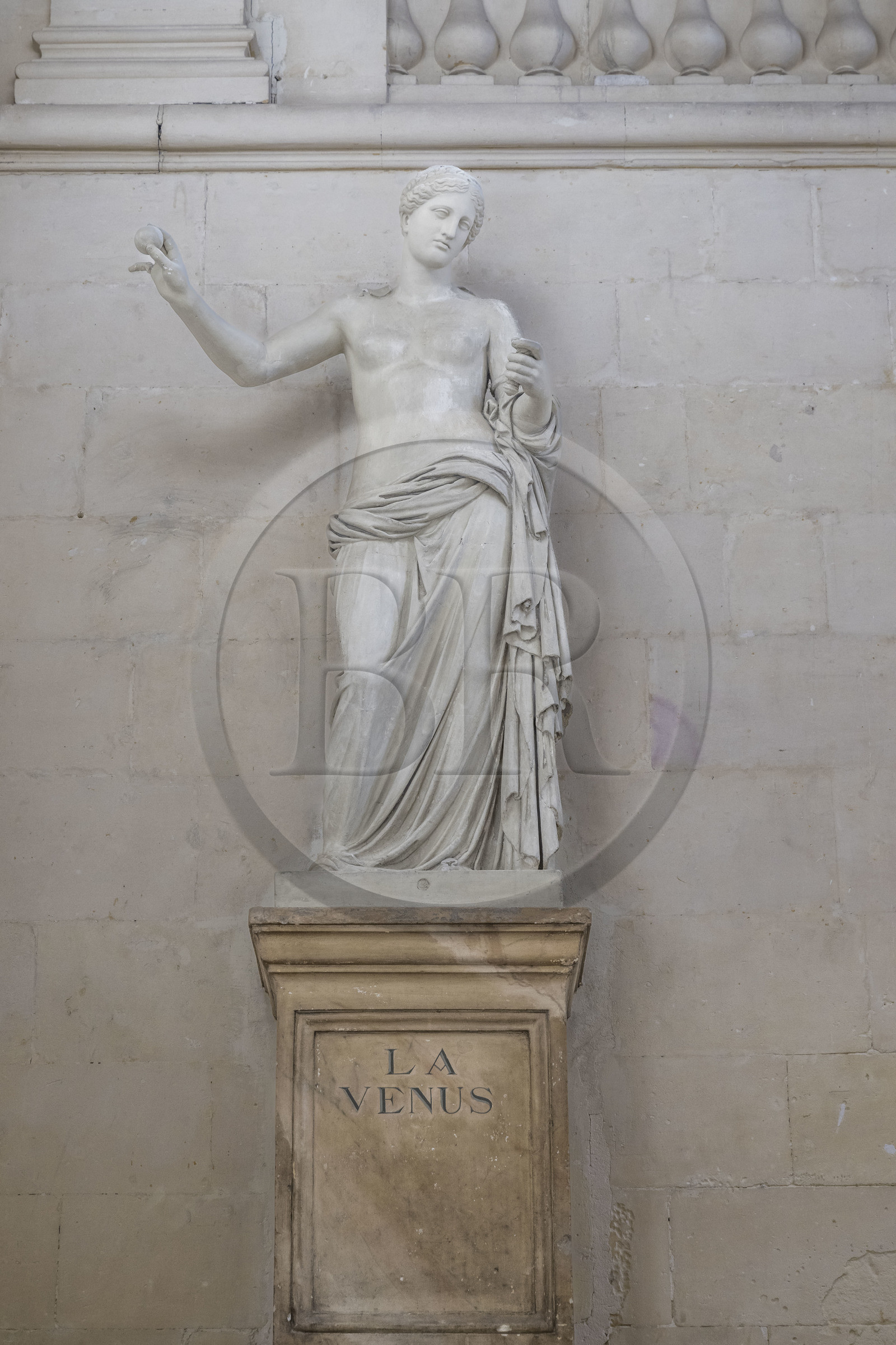 France, Bouches-du-Rhône (13), Arles, Hotel de Ville, la Vénus d'Arles (copie en platre) découverte en 1651 lors de la fouille des vestiges romains proches du théâtre antique, elle a inspiré la figure de l’Arlésienne à Frédéric Mistral