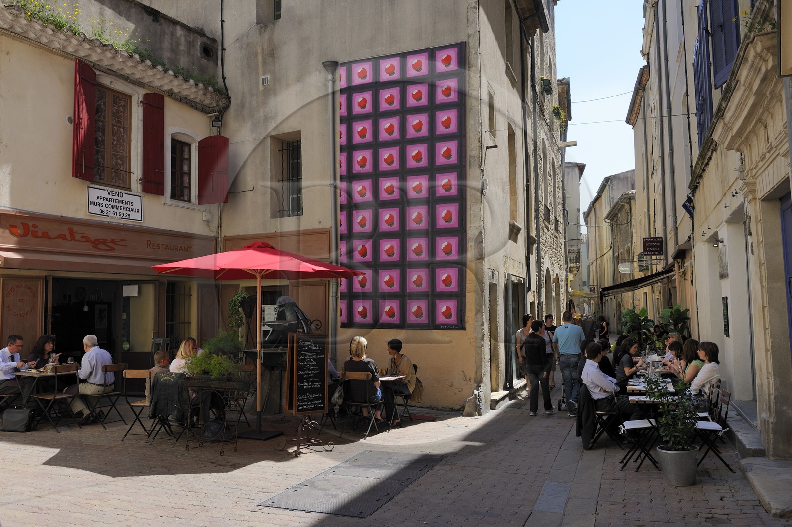 France, Gard (30), Nimes, terrasse de café rue de la Fresque