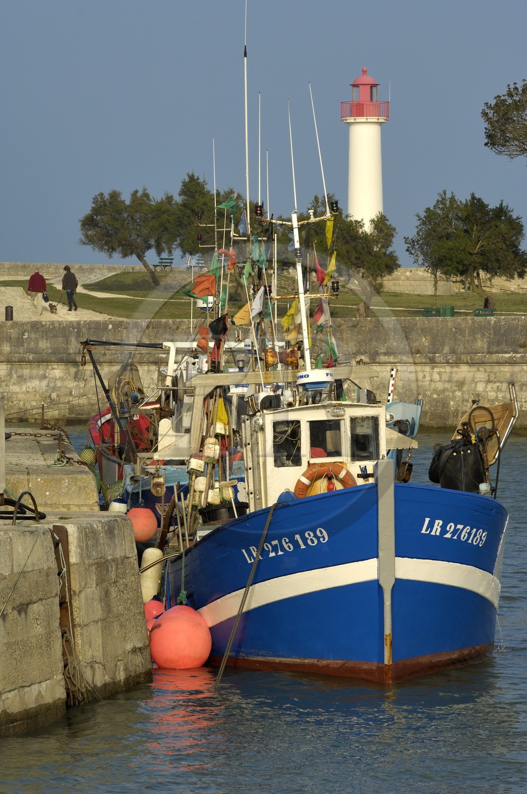 France, Charente-Maritime (17), ile de Ré, port de Saint-Martin-de-Ré