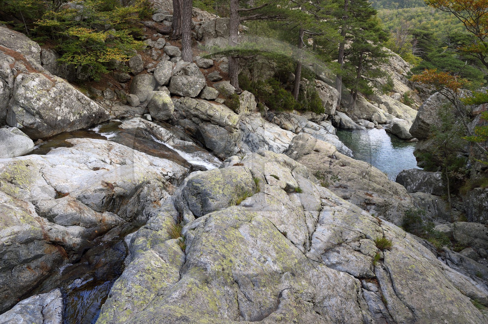 France, Haute-Corse (2B), Vivario, GR 20, étape entre le refuge de l'Onda et Vizzavona, foret de Vizzavona, les cascades des anglais, groupe de cascades dans la vallée de l'Agnone au pied du Monte d'Oro