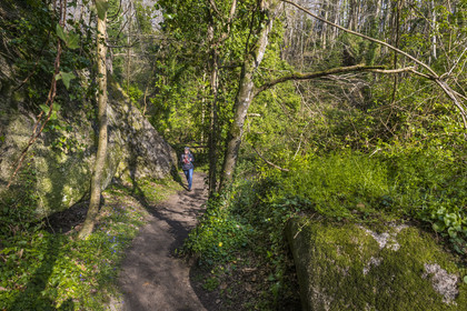 France, Côtes-d'Armor (22), Côte de Granit Rose, Trégastel, vallée des Grands Traouiero, sentier de randonnée évoluant dans le chaos de gros rochers granitiques