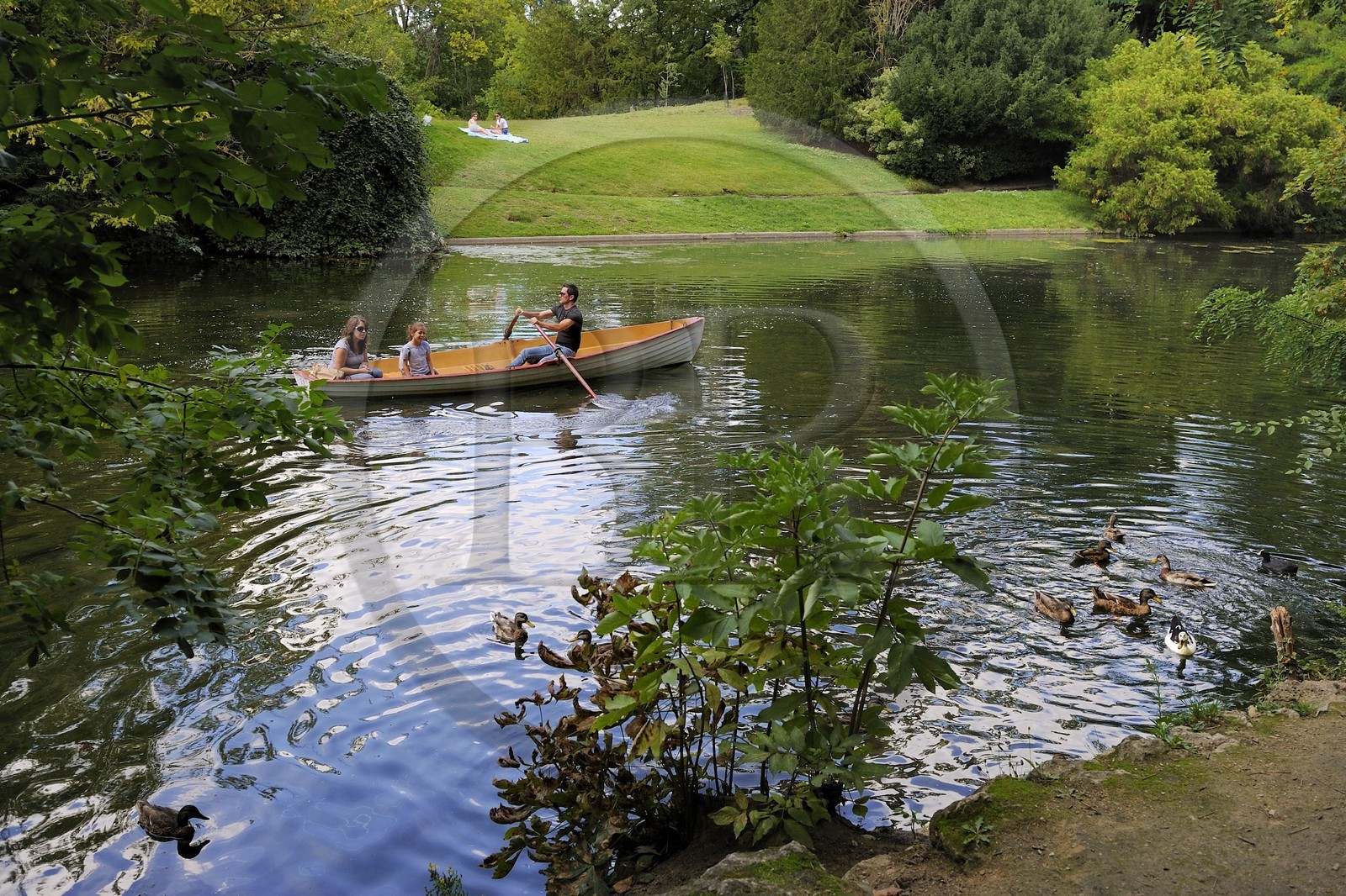 France, Paris (75), le Bois de Boulogne, promenade en barque autours des iles du Lac Inférieur